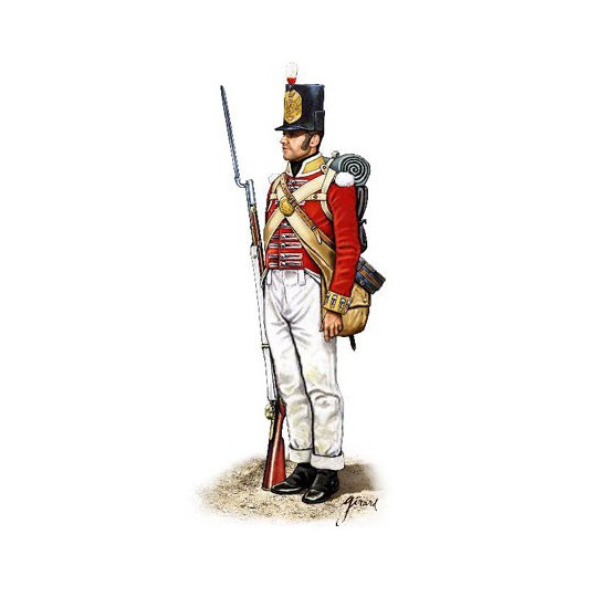 Halbinsel Britische Infanterie -Figur Halbinsel Britische Infanterie -Figur | Scientific-MHD