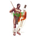 Zoulous Warriors Abbildung 1879 1/72 | Scientific-MHD Zoulous Warriors Abbildung 1879 1/72 | Scientific-MHD