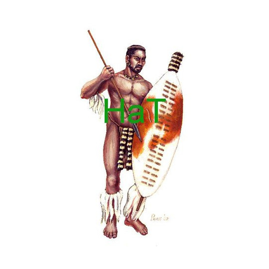 Zoulous Warriors Abbildung 1879 1/72 | Scientific-MHD