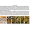 Rost & tragen Acrylfarbe | Scientific-MHD