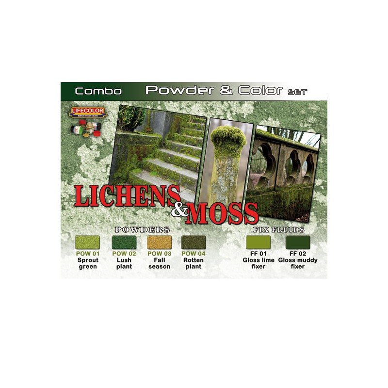 Acrylfarben -Set -Flechten und Schaumstoff | Scientific-MHD