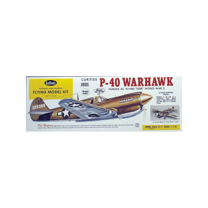 Kostenloses funkfreies Flugflugzeug P-40 Warhawk | Scientific-MHD