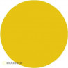 ORACOver Orastick Scale Yellow 2m | Scientific-MHD