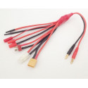 Ladegerät für den Angeklagten für Radio -kontrolliertes Gerät Universal Lastkabel | Scientific-MHD
