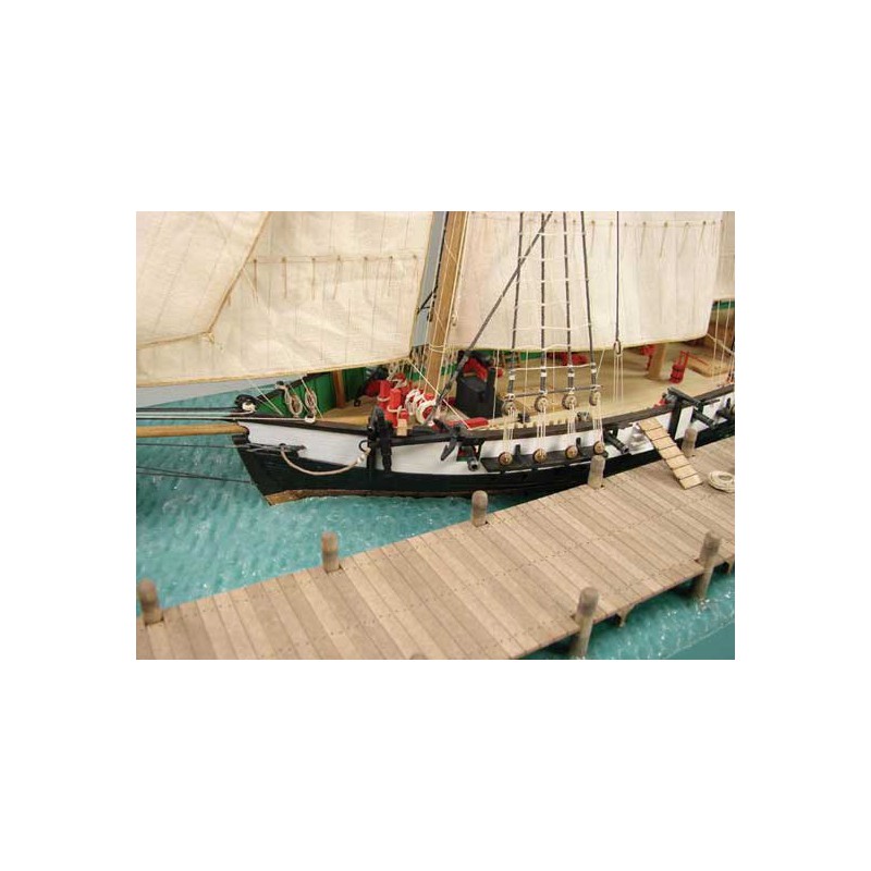 Berbice -TO -Quaibaltimore 1/96 Radio -kontrolliertes Segelboot | Scientific-MHD