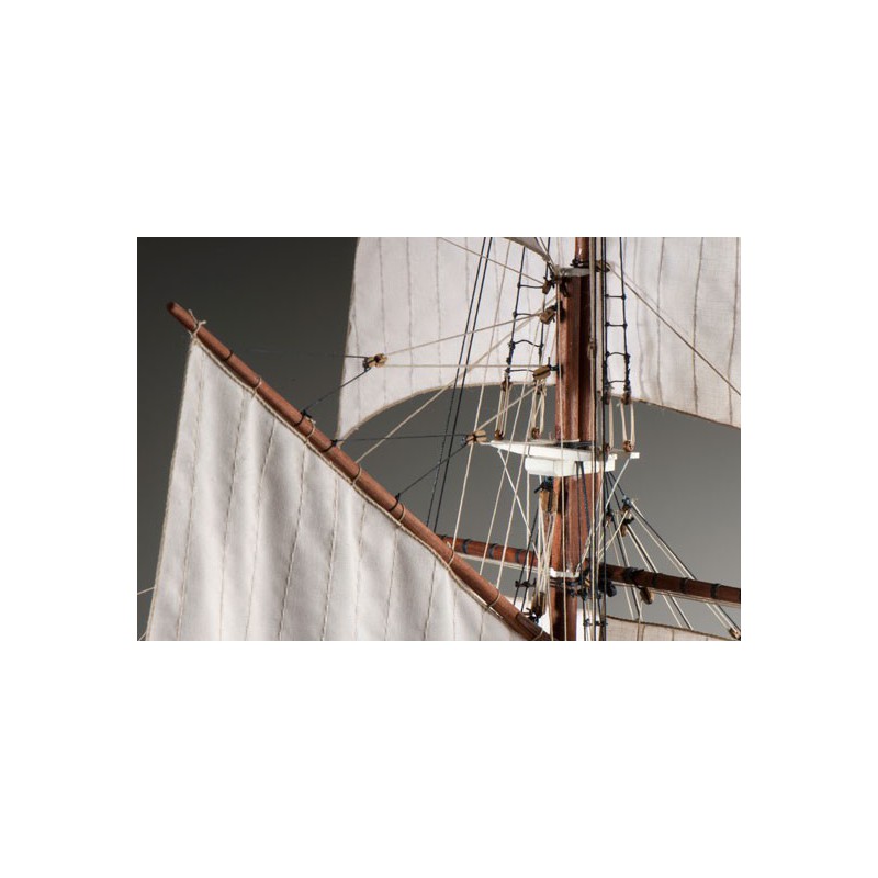 Statisches Boot Die schöne Henne 1/50 | Scientific-MHD