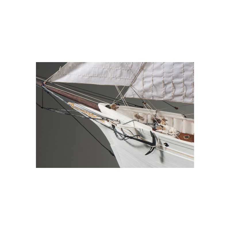 Statisches Boot Die schöne Henne 1/50 | Scientific-MHD