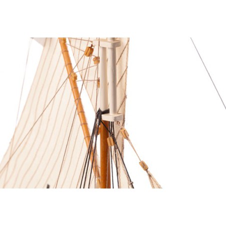 Henriette Marie 1/50 Statisches Boot | Scientific-MHD Henriette Marie 1/50 Statisches Boot | Scientific-MHD