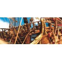 WASA statisches Boot 1/75 | Scientific-MHD WASA statisches Boot 1/75 | Scientific-MHD