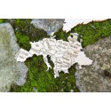 Einfaches mechanisches 3D -Puzzle für XXL World Map -Modell | Scientific-MHD Einfaches mechanisches 3D -Puzzle für XXL World Map -Modell | Scientific-MHD