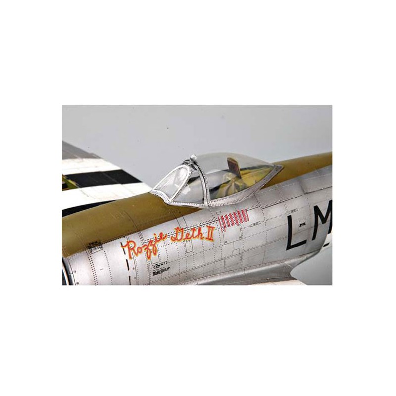 P-47d Plastikebene Modell "dorsal fein" | Scientific-MHD