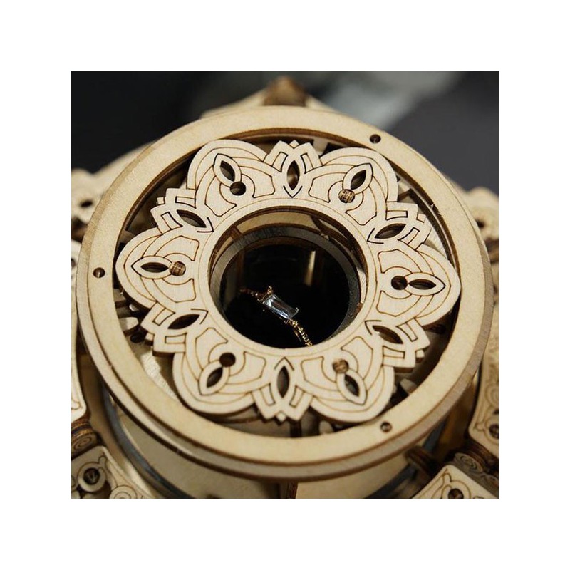 Zwischenmechanischer 3D -Puzzle für Modell des musikalischen geheimen Gartens | Scientific-MHD