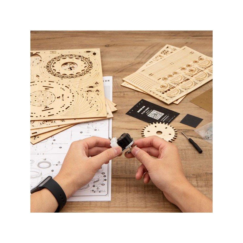 Zwischenmechanischer 3D -Puzzle für romantische musikalische Karusselle | Scientific-MHD