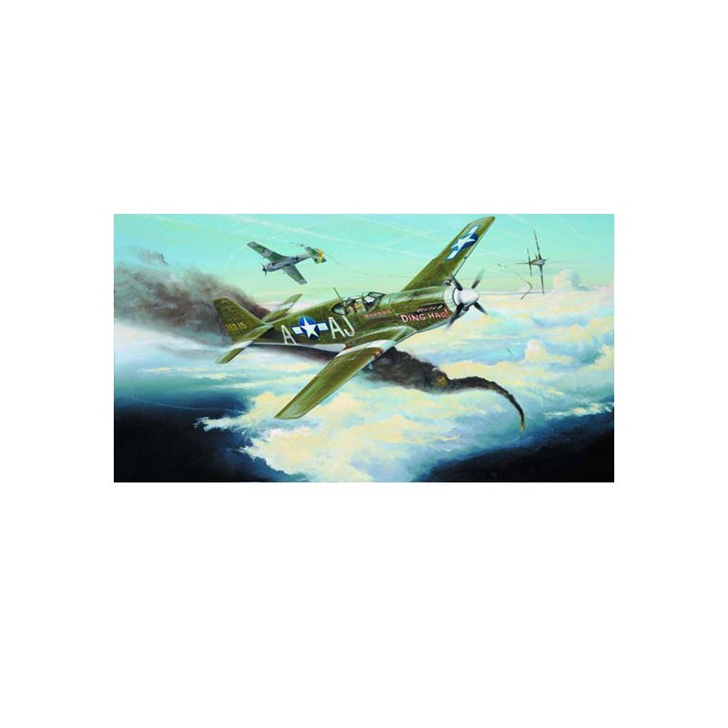 P-51 B Plastikflugzeugmodell | Scientific-MHD