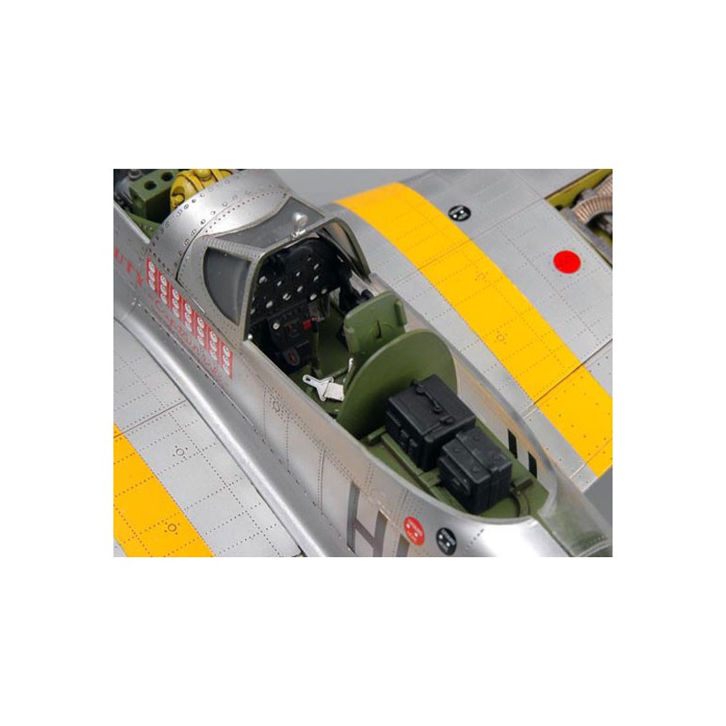 P-51 D Mustang Plastikflugzeugmodell | Scientific-MHD