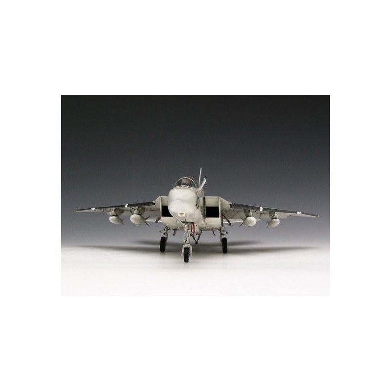 Wachsames RA-5C-Plastikflugzeugmodell | Scientific-MHD
