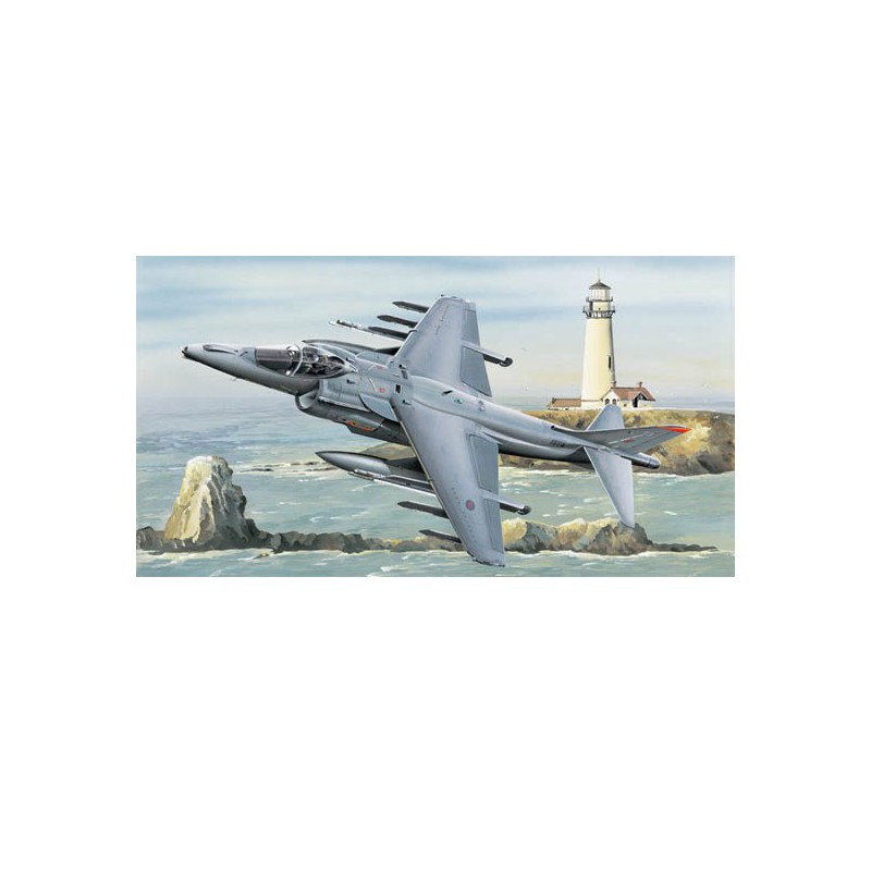 RAF Plastikflugzeug Modell Harrier Gr.mk7 | Scientific-MHD