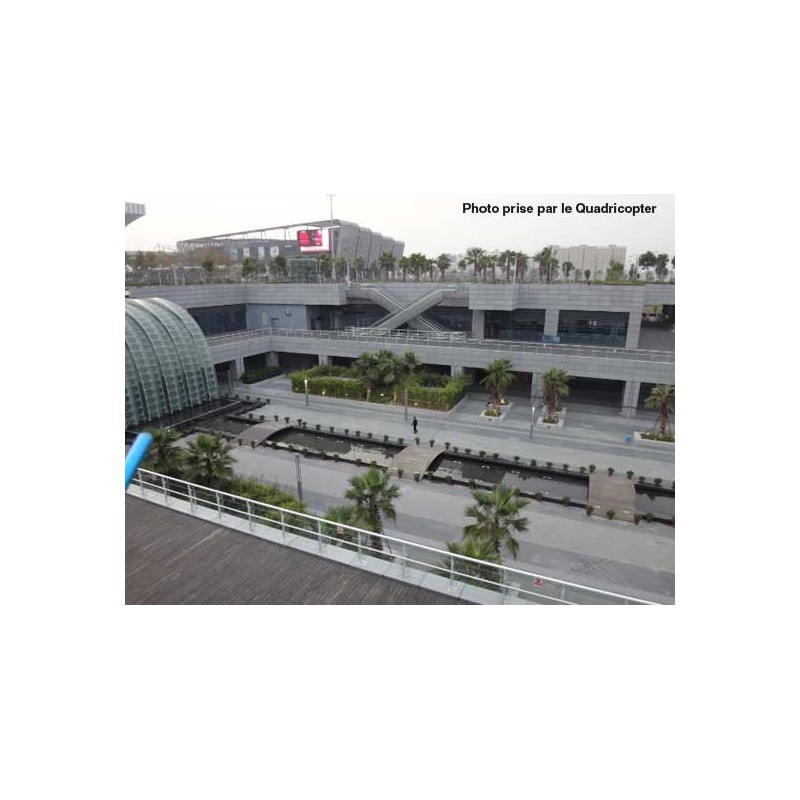 Draft -Drohne für erfahrene Quadricopter EP ARF | Scientific-MHD