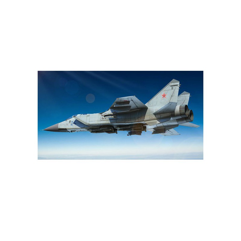 Russisches MIG-31-Foxhound-Plastikflugzeugmodell | Scientific-MHD