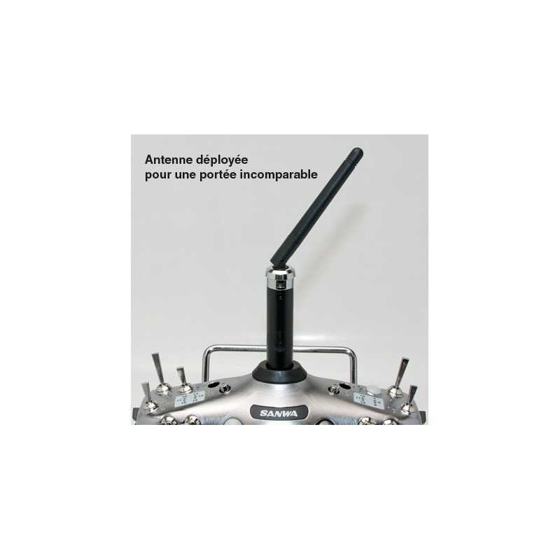 Setzen Sie für SD 10G Sanwa 2,4 GHz 10 -way -Radiokontrolle | Scientific-MHD