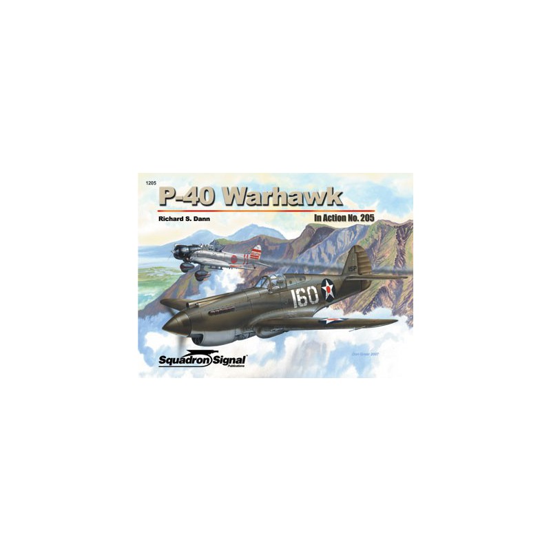 Buch P-40 Warhawk in Aktion | Scientific-MHD