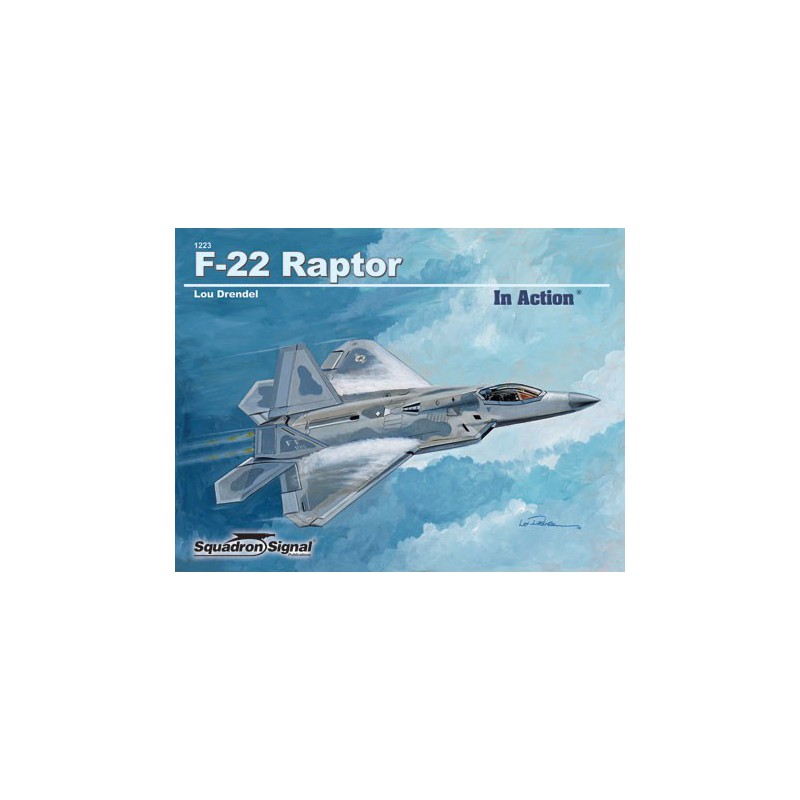 Buch F -22 Raptor - in Aktion | Scientific-MHD