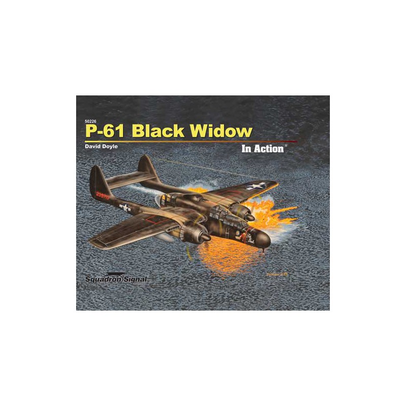 Buch P-61 Black Witwe in Aktion | Scientific-MHD