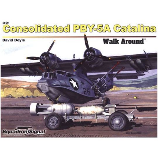 Buch PYB-5A Catalina Walkaround | Scientific-MHD
