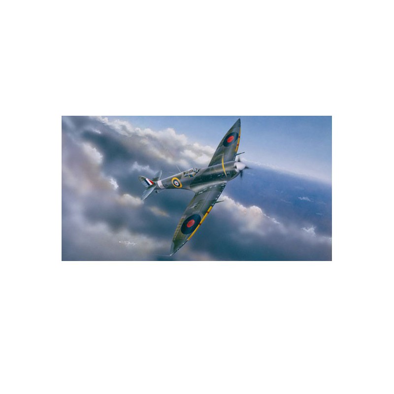 Kunststoff -Kunststoffmodell Spitfire Mk.vi | Scientific-MHD