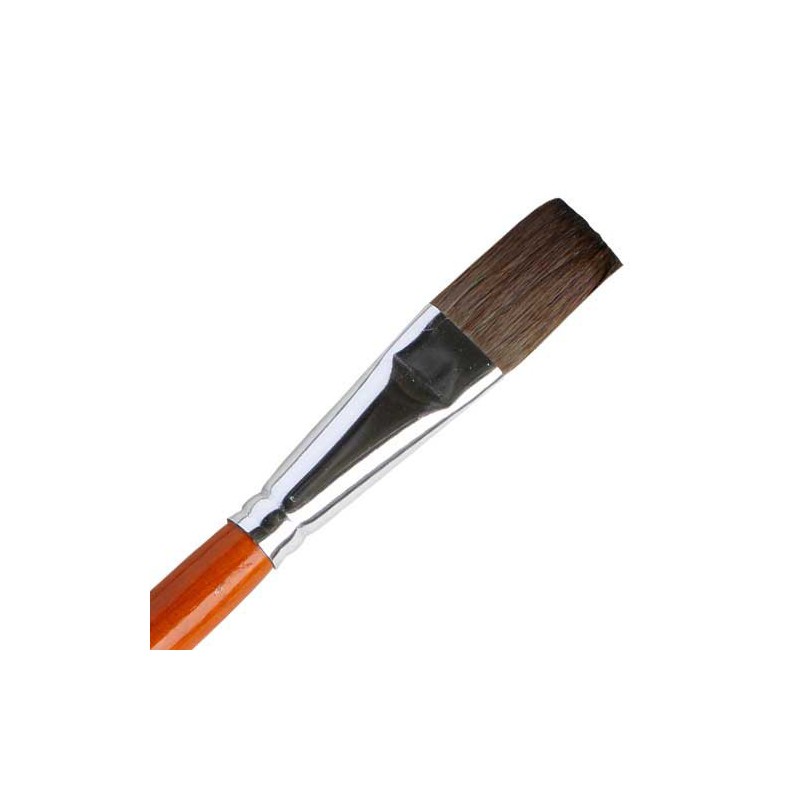 Sendungen für Momeau Hair Hair Brows 1 | Scientific-MHD