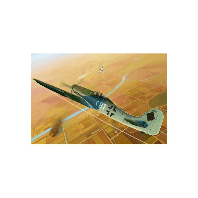 Kunststoffebene Modell Focke Wulf FW190D-11 1/48 | Scientific-MHD