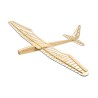 Radio kontrollierter Segelflugzeug Sunbird EP 1600mm Kit | Scientific-MHD Radio kontrollierter Segelflugzeug Sunbird EP 1600mm Kit | Scientific-MHD