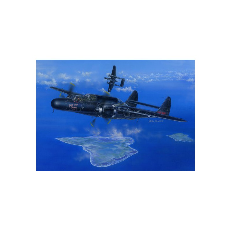 US Plastic Ebene Modell P-61B Schwarz Witwe 1/48 | Scientific-MHD