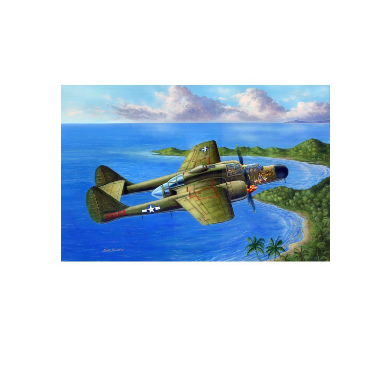 US P-61A Kunststoffebene Modell Witwe 1/48 | Scientific-MHD