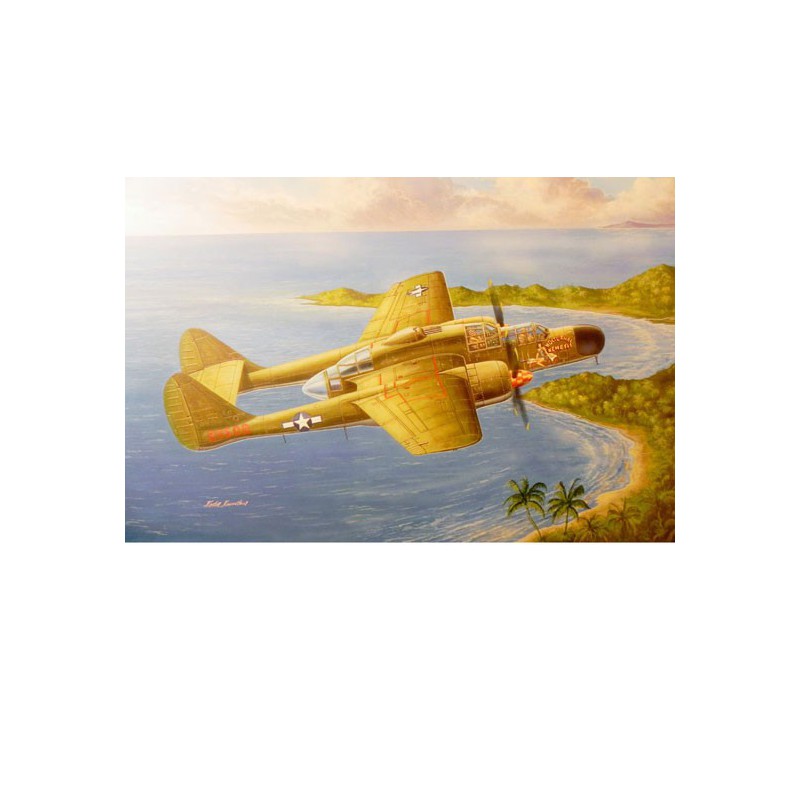 US P-61A Kunststoffebene Modell Witwe 1/48 | Scientific-MHD