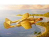 US P-61A Kunststoffebene Modell Witwe 1/48 | Scientific-MHD