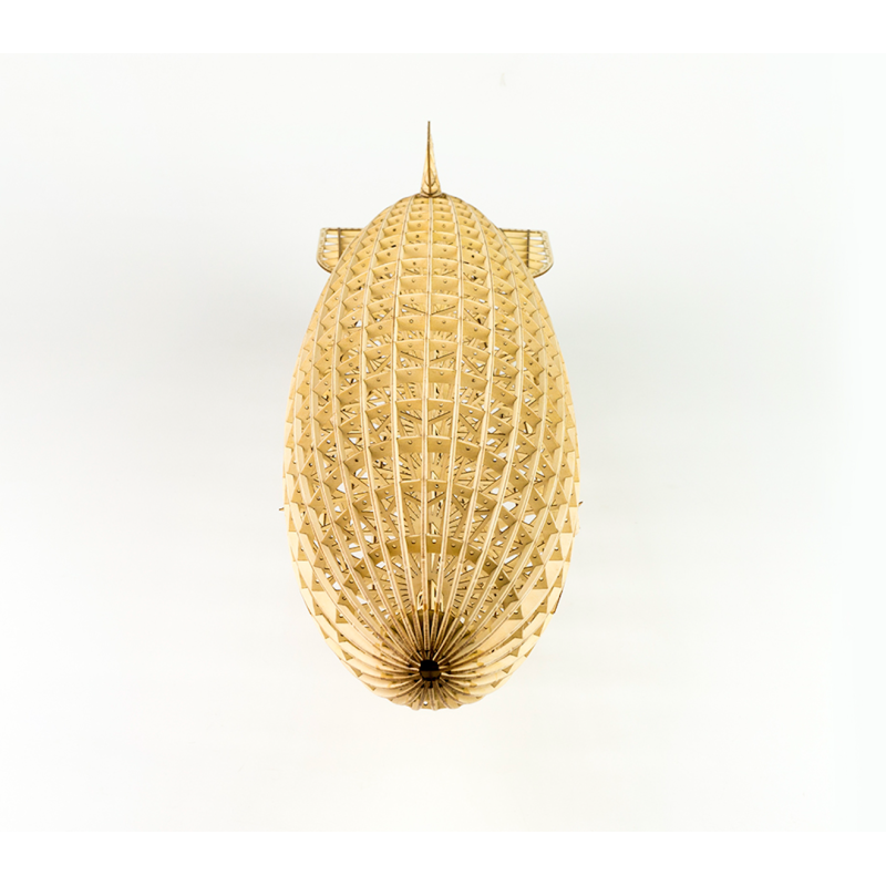 Hindenburg statisches Holzflugzeug 1/408 | Scientific-MHD