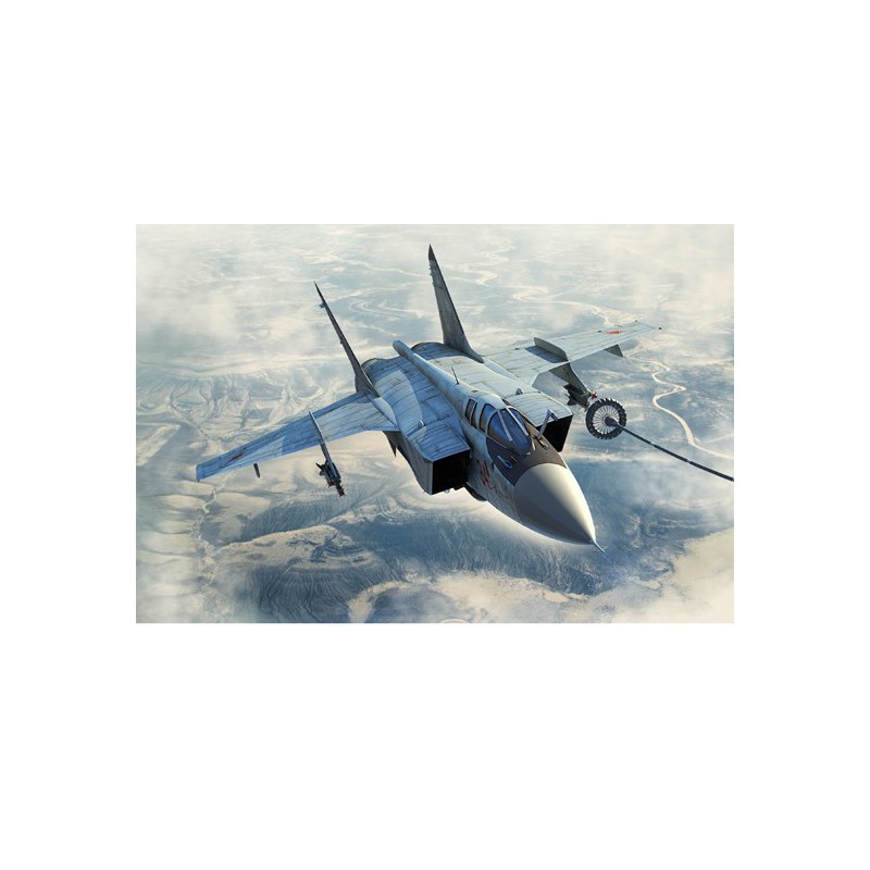 MIG 31B/BM Foxhound Plastic Plastic Ebene Modell 1*48 | Scientific-MHD