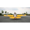 Ryan PT-22 40cc ARF Radio-kontrolliertes thermisches Flugzeug | Scientific-MHD Ryan PT-22 40cc ARF Radio-kontrolliertes thermisches Flugzeug | Scientific-MHD