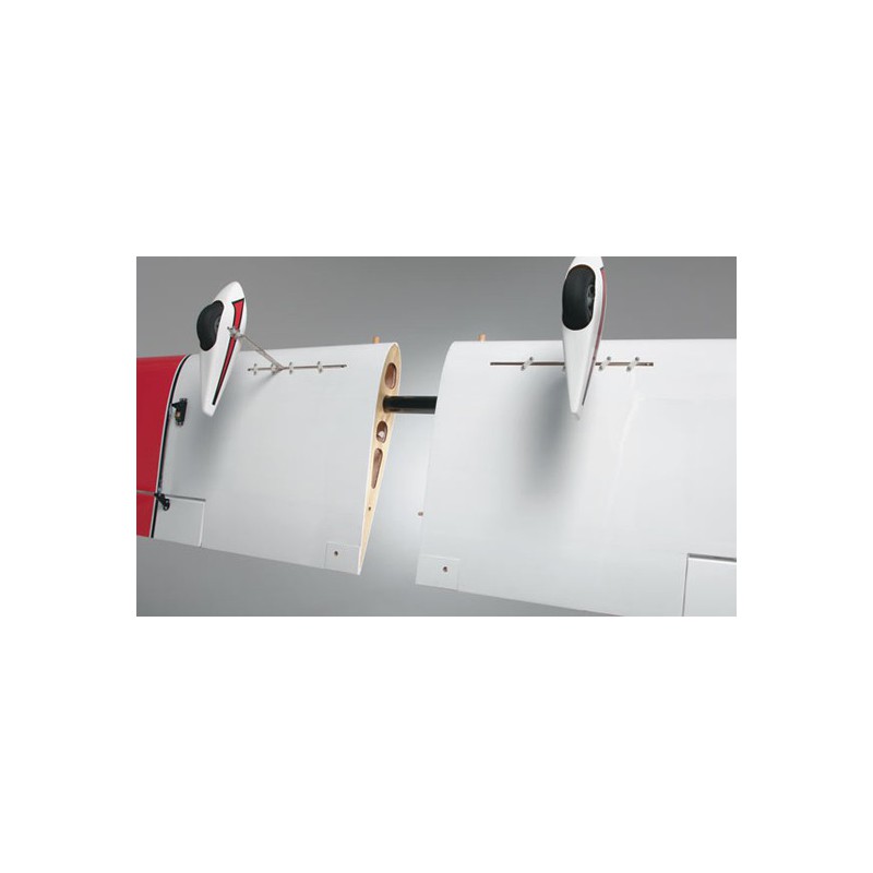 Riesensportler-Wagen-Funk-kontrolliertes thermisches Flugzeug | Scientific-MHD