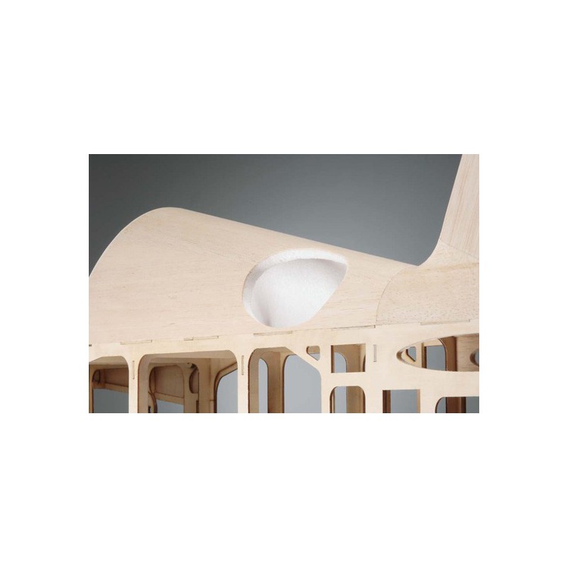 Funk-Thermalflugzeug Yak 54160 3D-ARF | Scientific-MHD