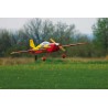 Extra 330S 160-Braum-Thermalflugzeug | Scientific-MHD
