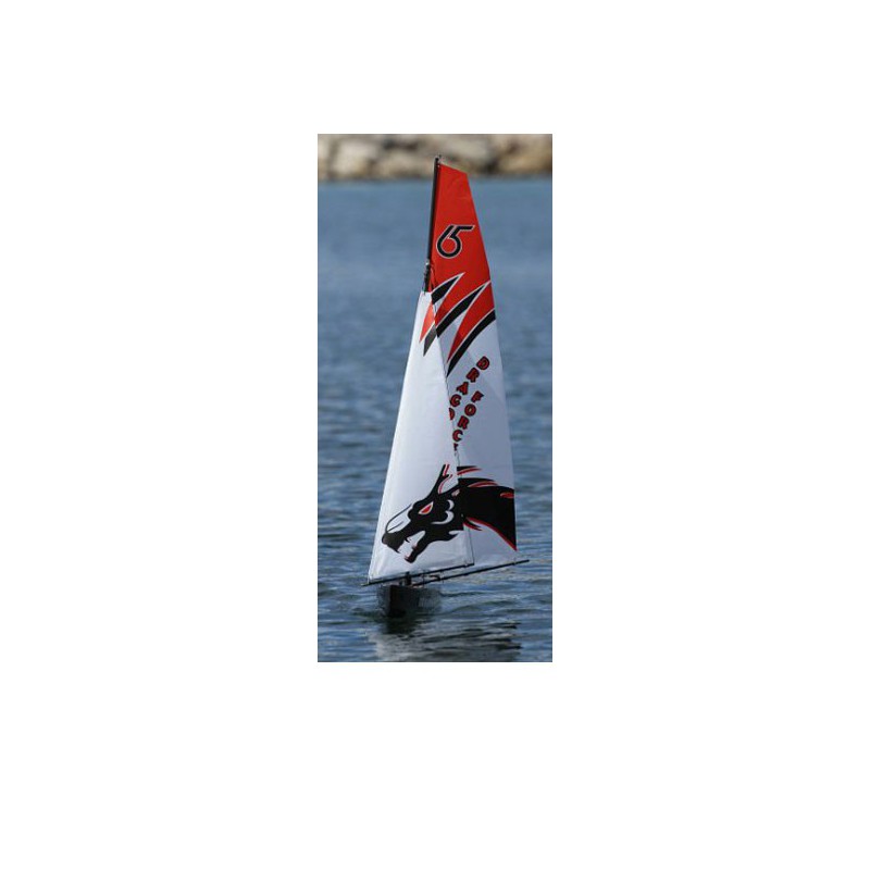 RAG65 RG65 ARS / MHD4S -Wettbewerb Segelboot | Scientific-MHD