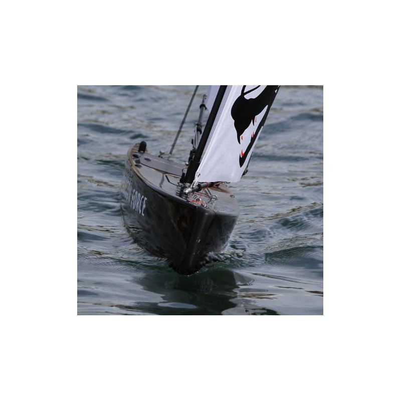 Dragon Dragon Force RG65 RTS V2 Segelboot | Scientific-MHD