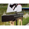 Dragon Dragon Force RG65 RTS V2 Segelboot | Scientific-MHD