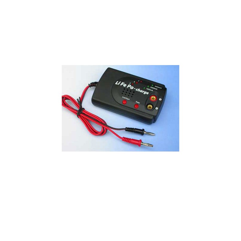 Ladegerät für den Angeklagten wegen 12 Voltslife PO -Ladegerät | Scientific-MHD