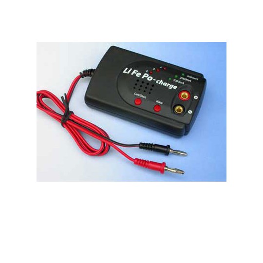 Ladegerät für den Angeklagten wegen 12 Voltslife PO -Ladegerät | Scientific-MHD