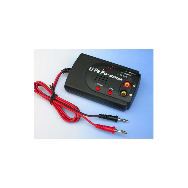 Ladegerät für den Angeklagten wegen 12 Voltslife PO -Ladegerät | Scientific-MHD