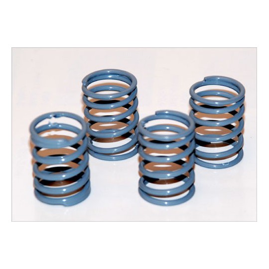 Radio -kontrolliertes Autozubehör 4 Durchschnittliche Quellen 1/10 Track | Scientific-MHD