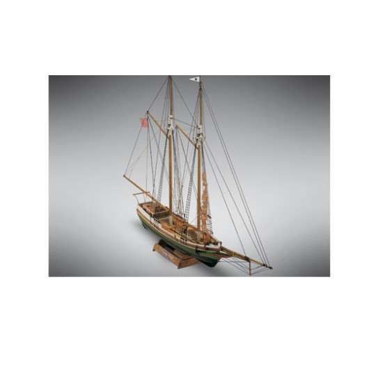 Statische Bootsfliegerfisch Statische Bootsfliegerfisch | Scientific-MHD